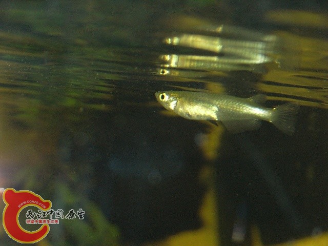 b004.JPG