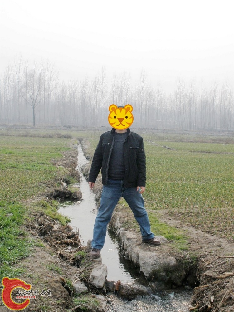 87.jpg