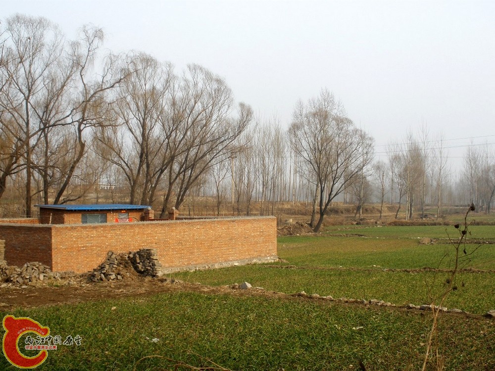 91.jpg