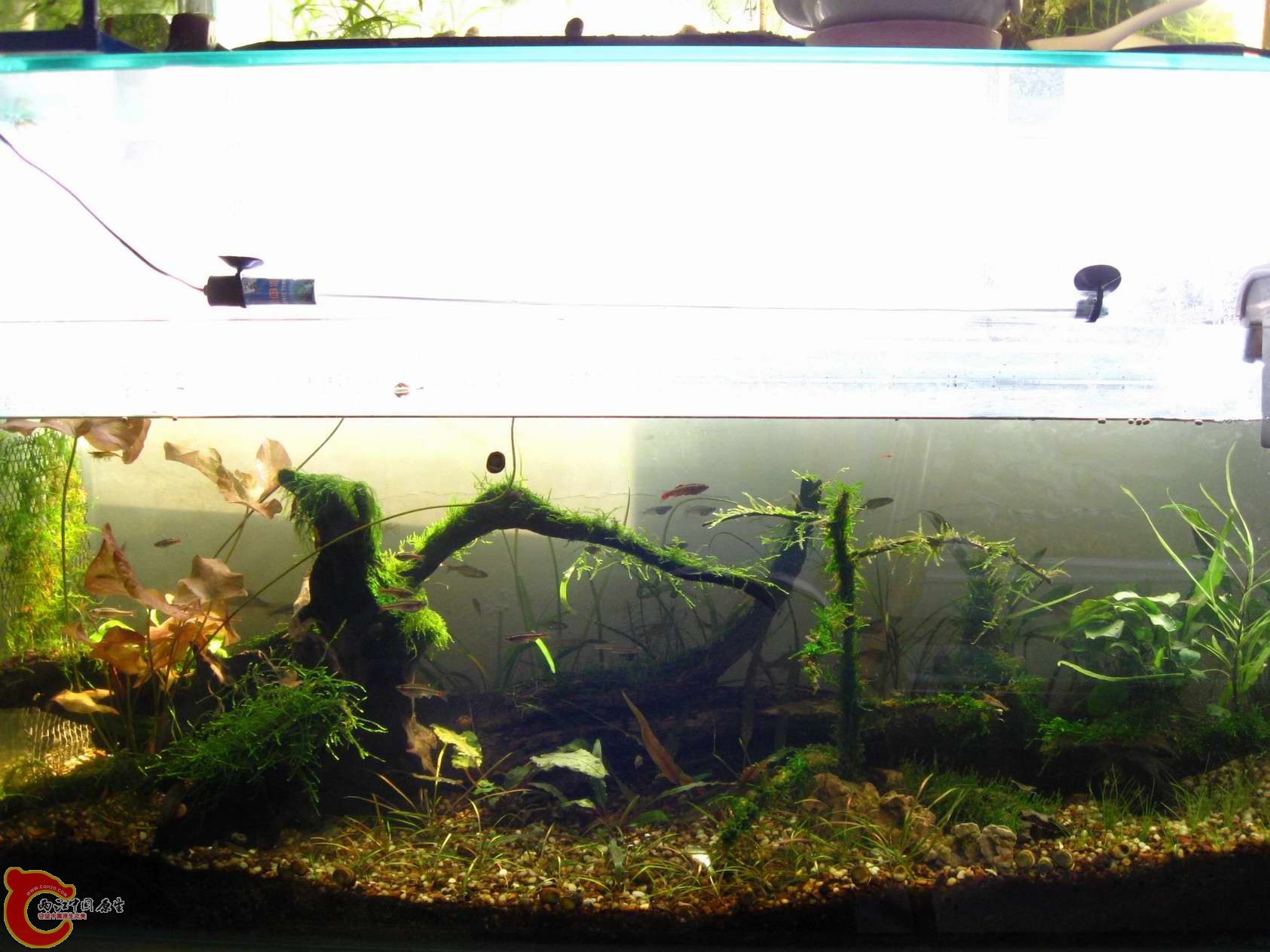 调整大小 照片 035.jpg