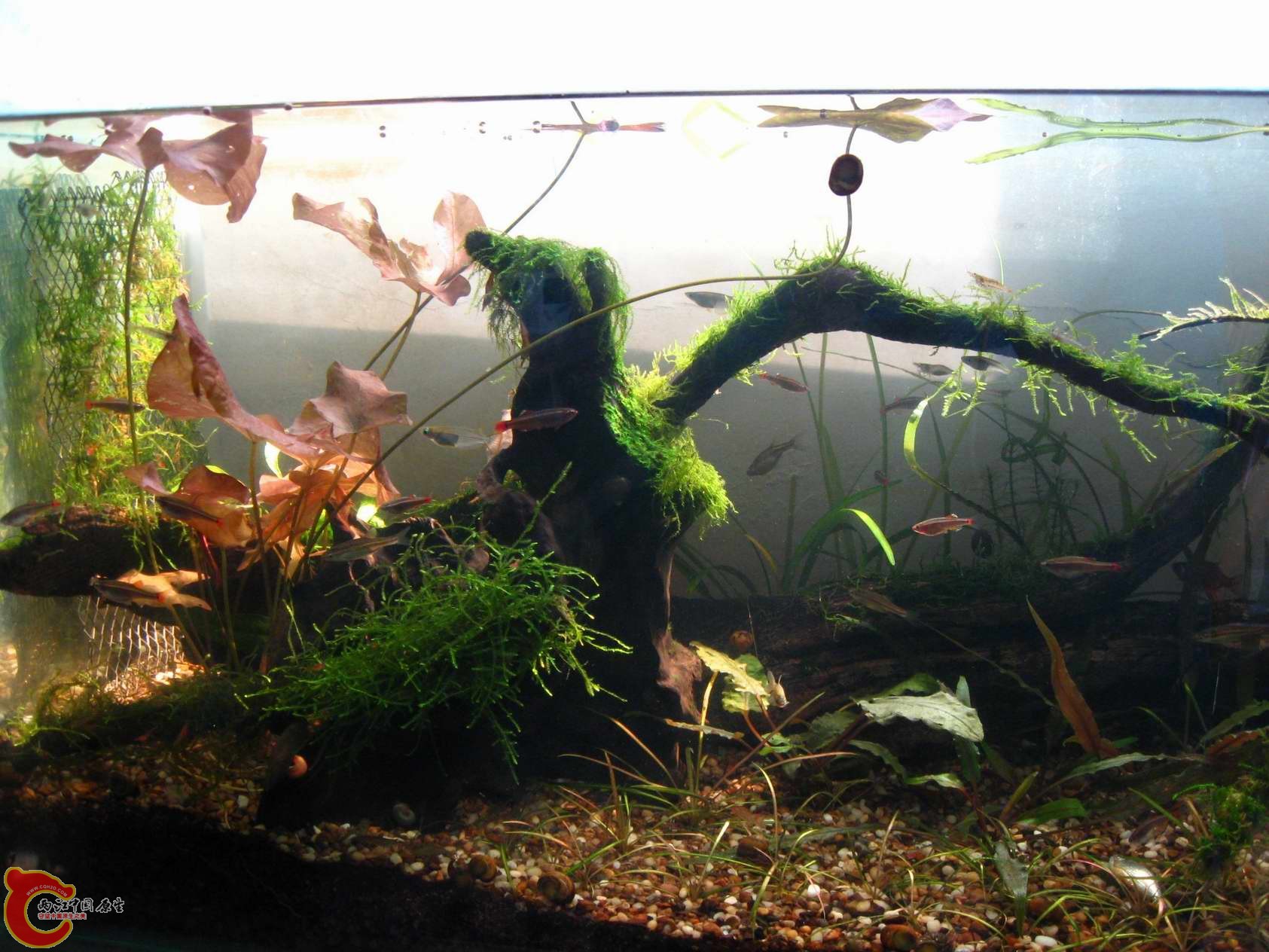 调整大小 照片 029.jpg