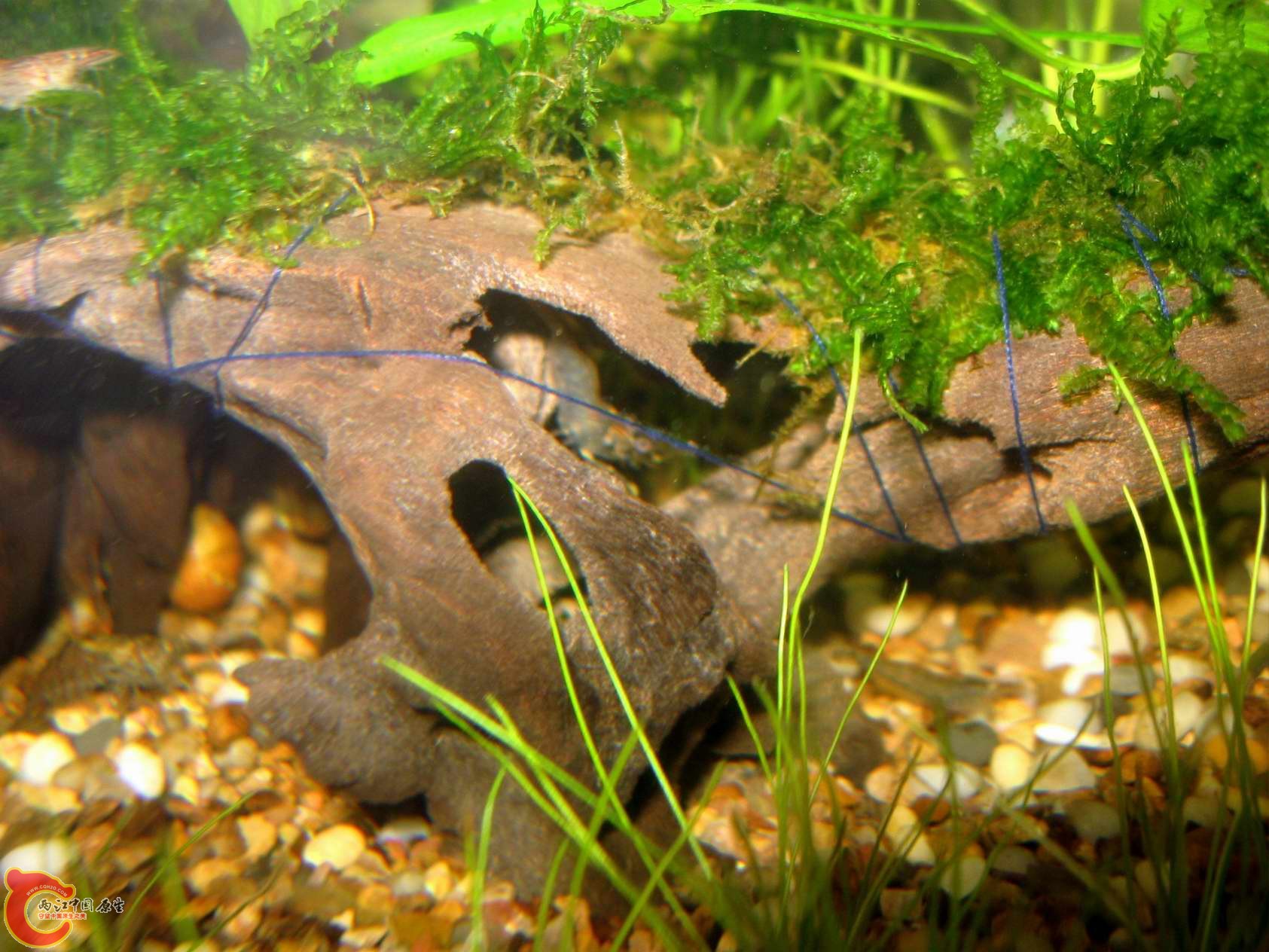 调整大小 照片 044.jpg