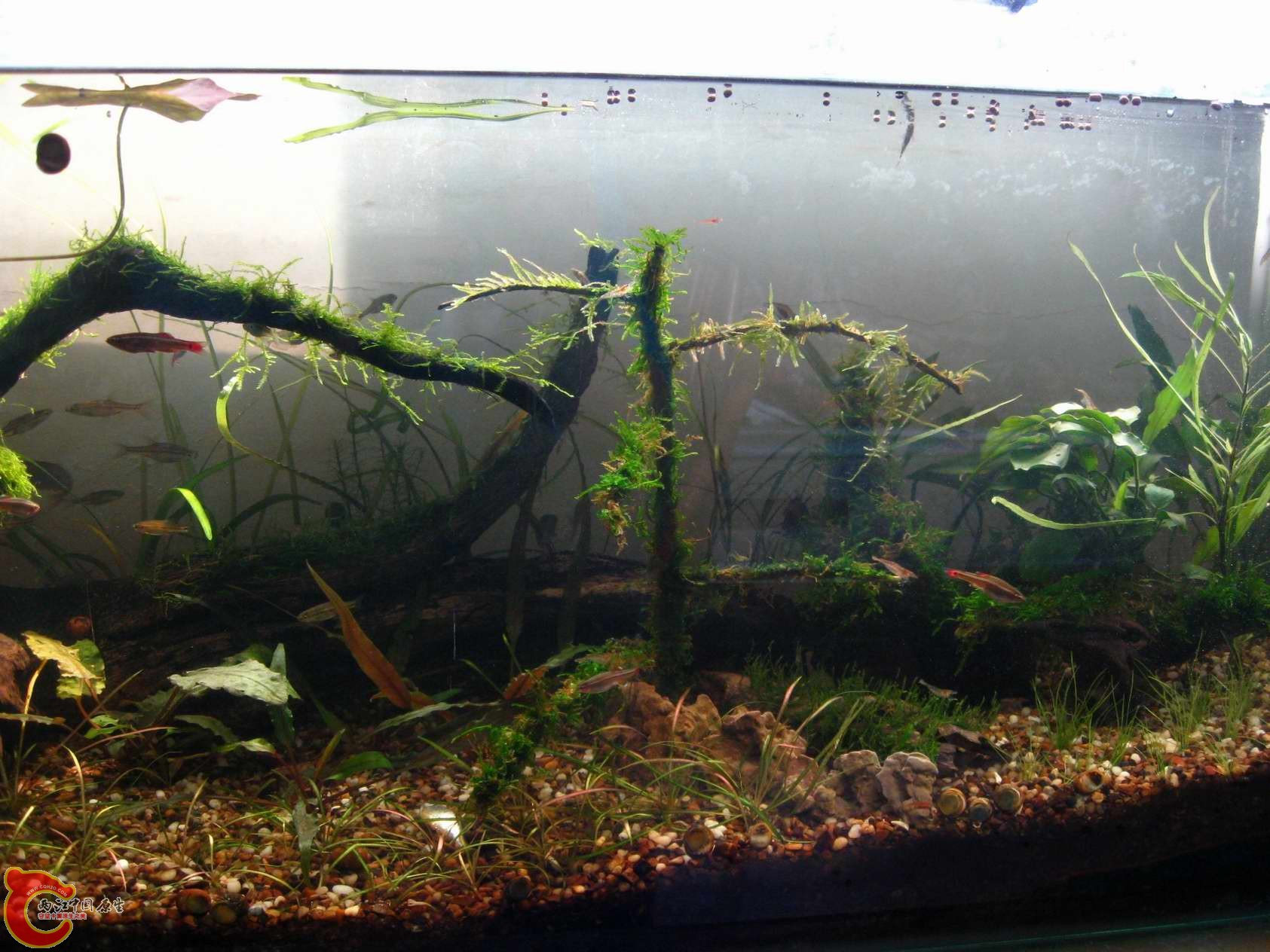 调整大小 照片 034.jpg