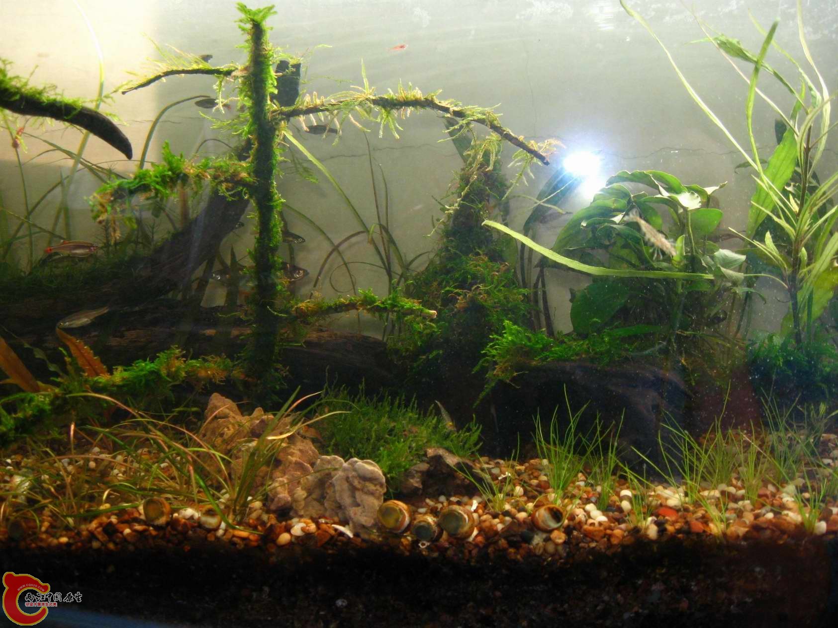 调整大小 照片 040.jpg