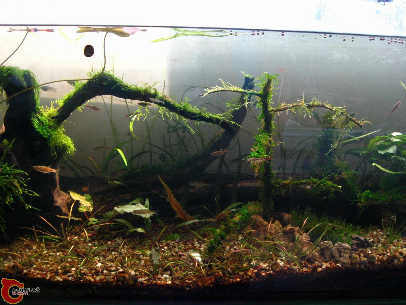 调整大小 照片 028.jpg