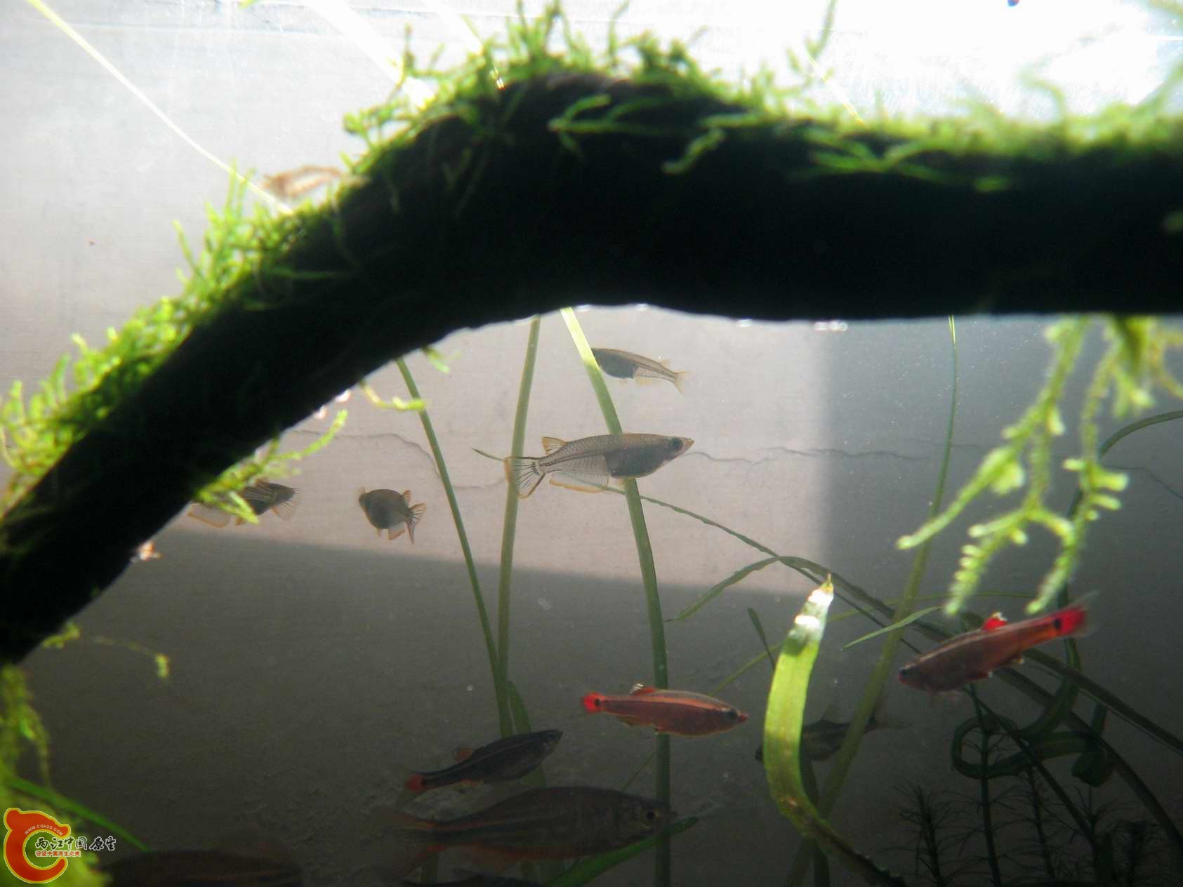 调整大小 照片 056.jpg