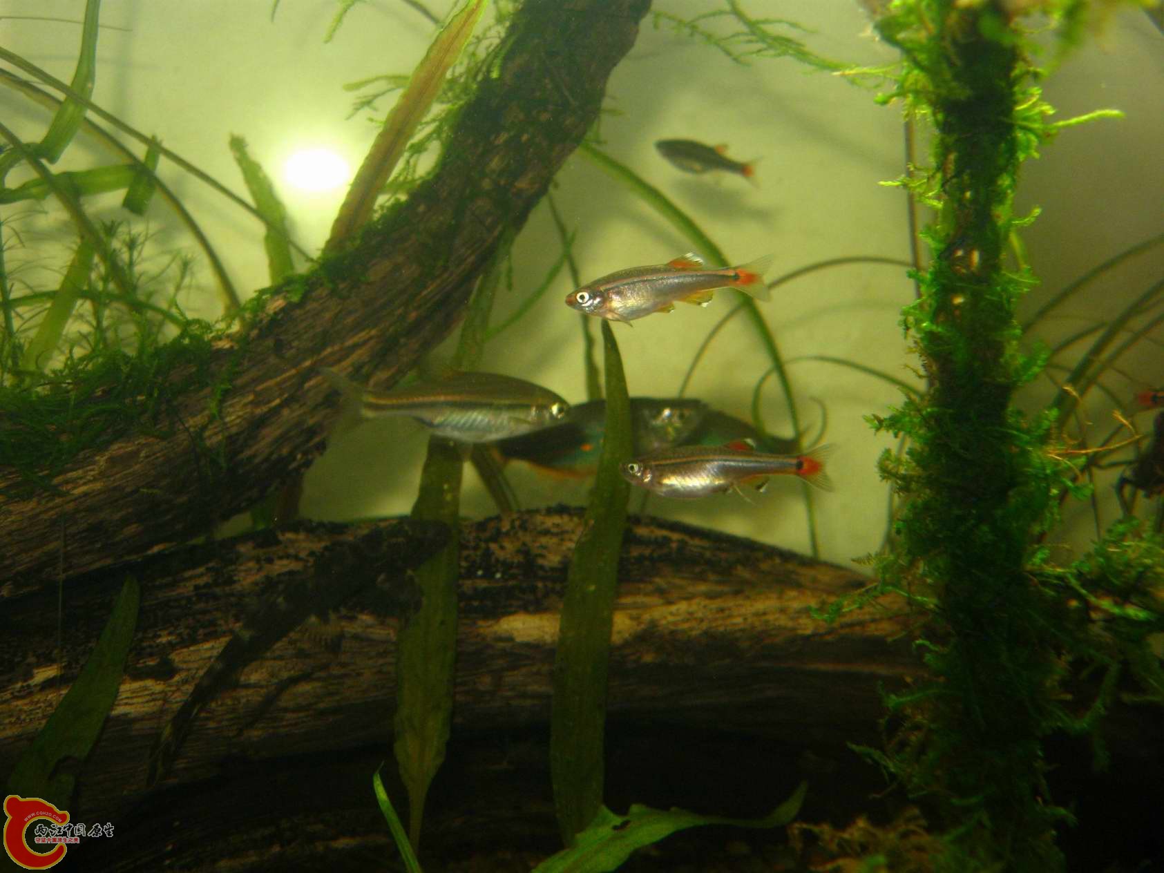 调整大小 照片 059.jpg