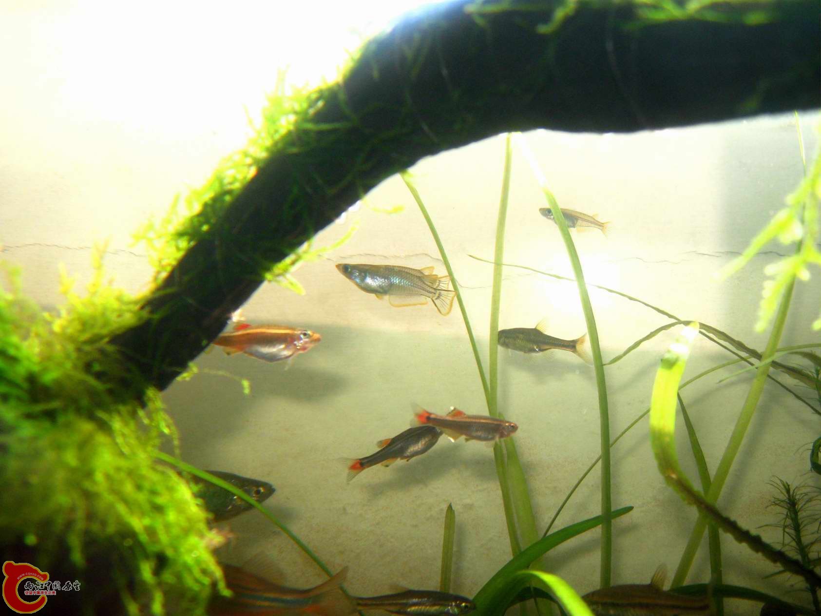 调整大小 照片 058.jpg