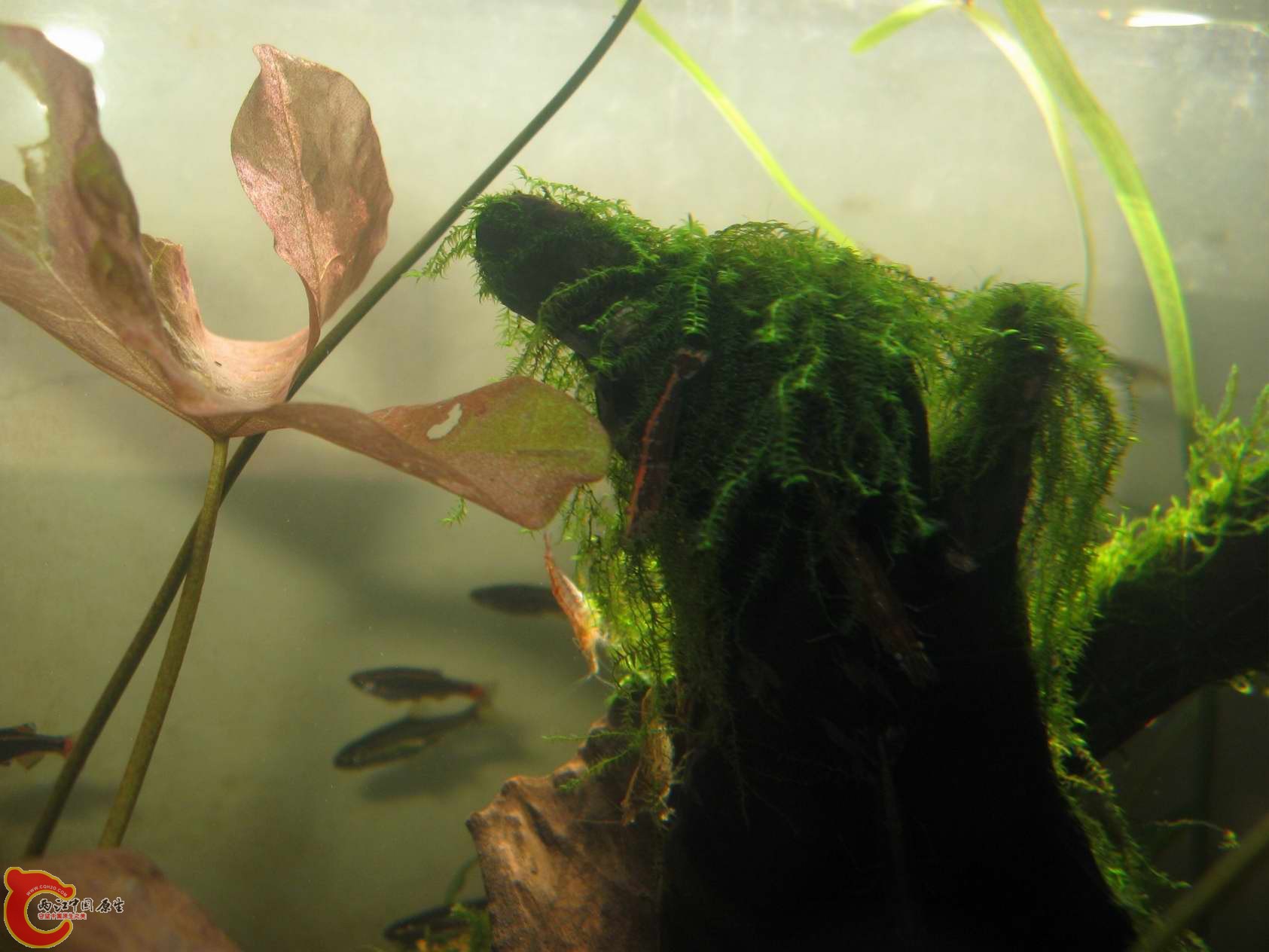 调整大小 照片 053.jpg