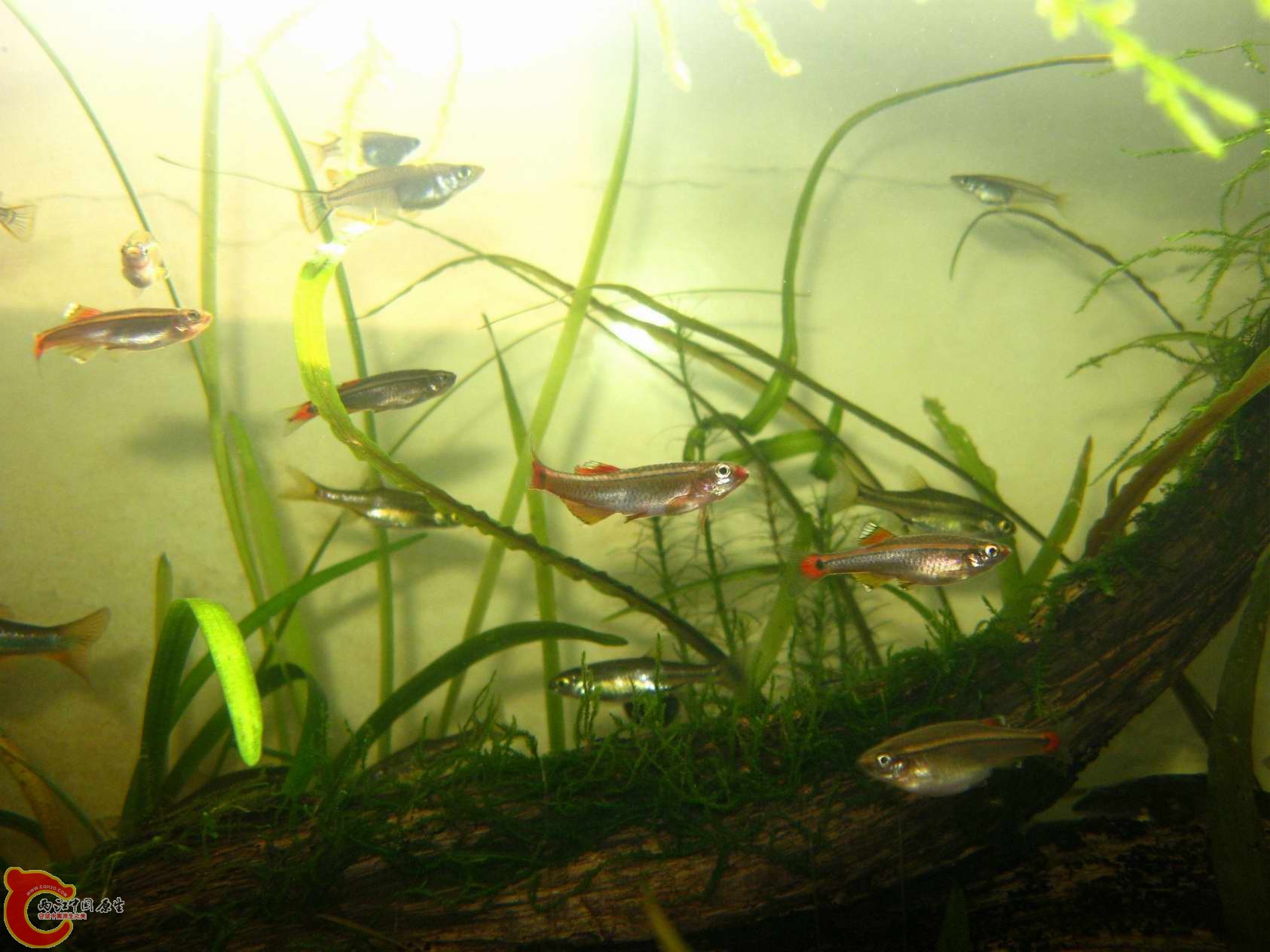 调整大小 照片 068.jpg