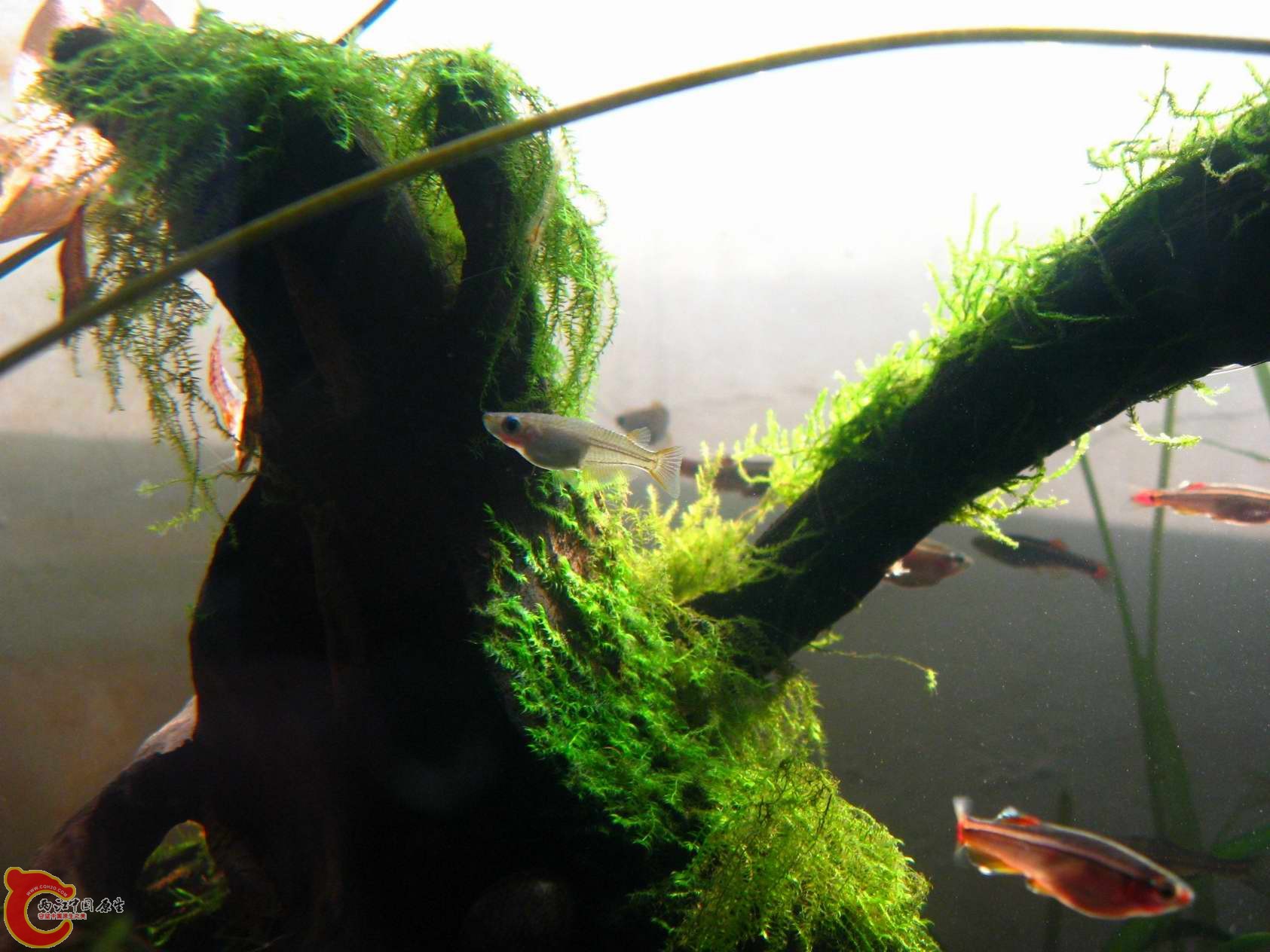 调整大小 照片 085.jpg