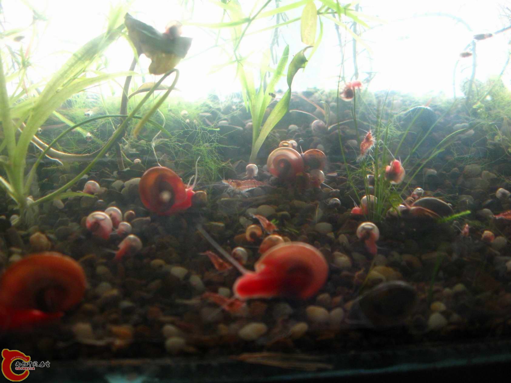 调整大小 照片 108.jpg