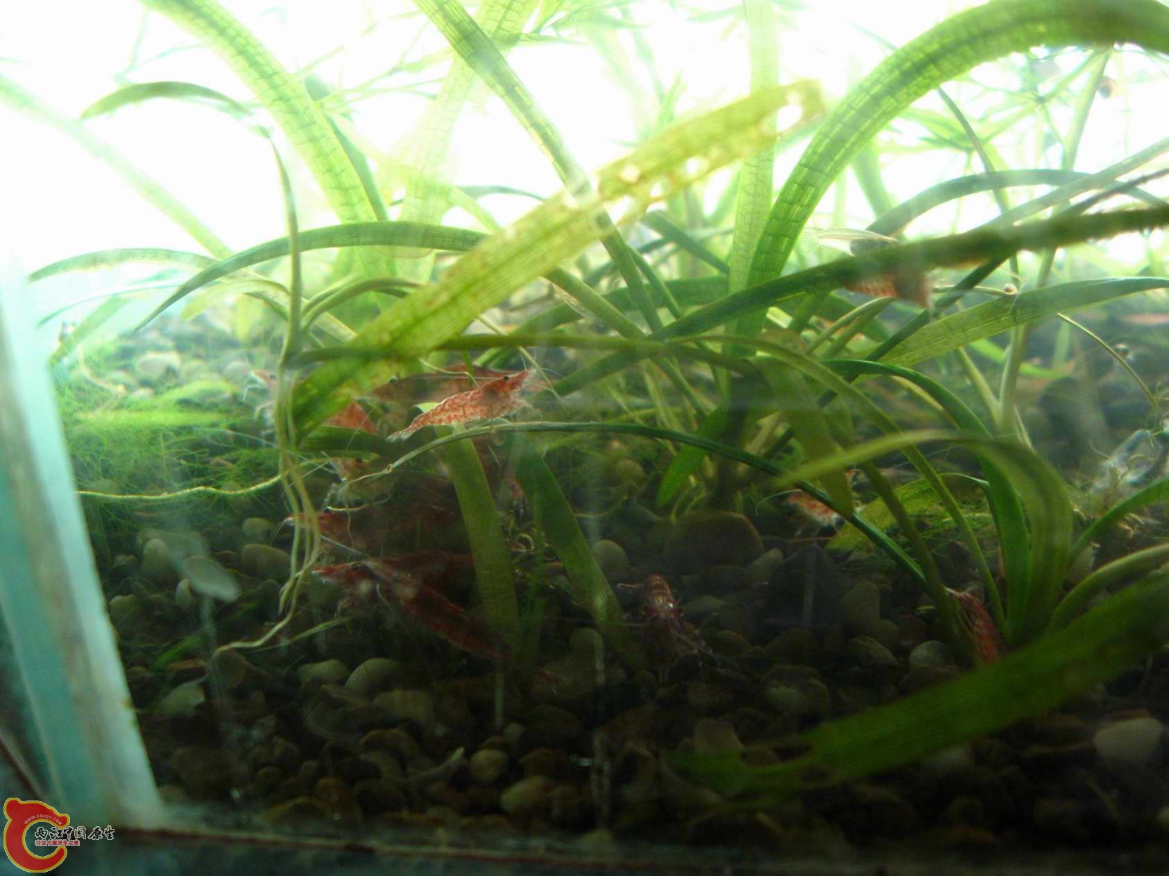 调整大小 照片 109.jpg