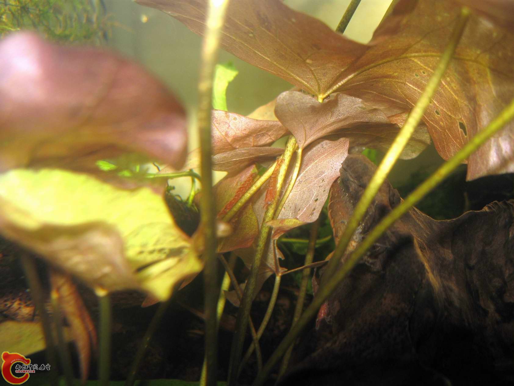 调整大小 照片 123.jpg