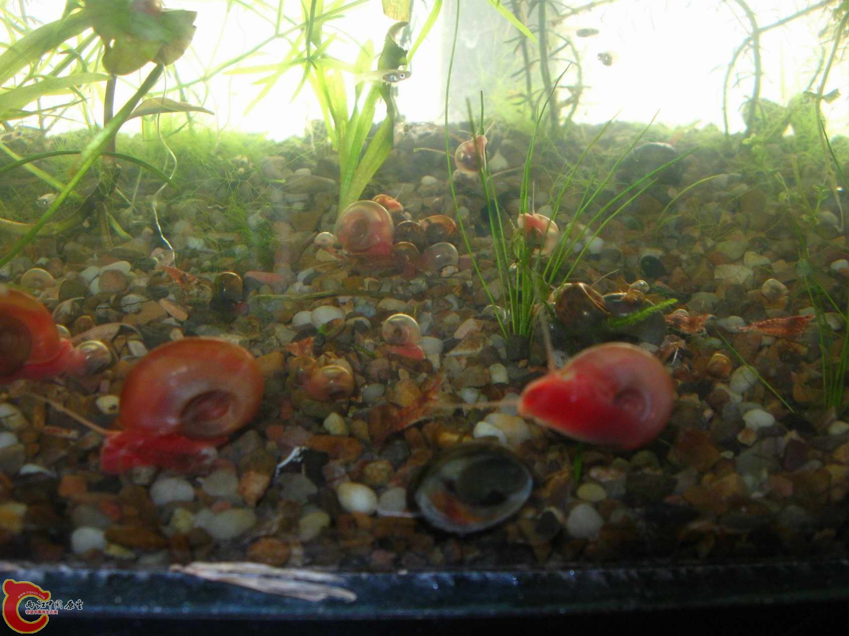 调整大小 照片 104.jpg