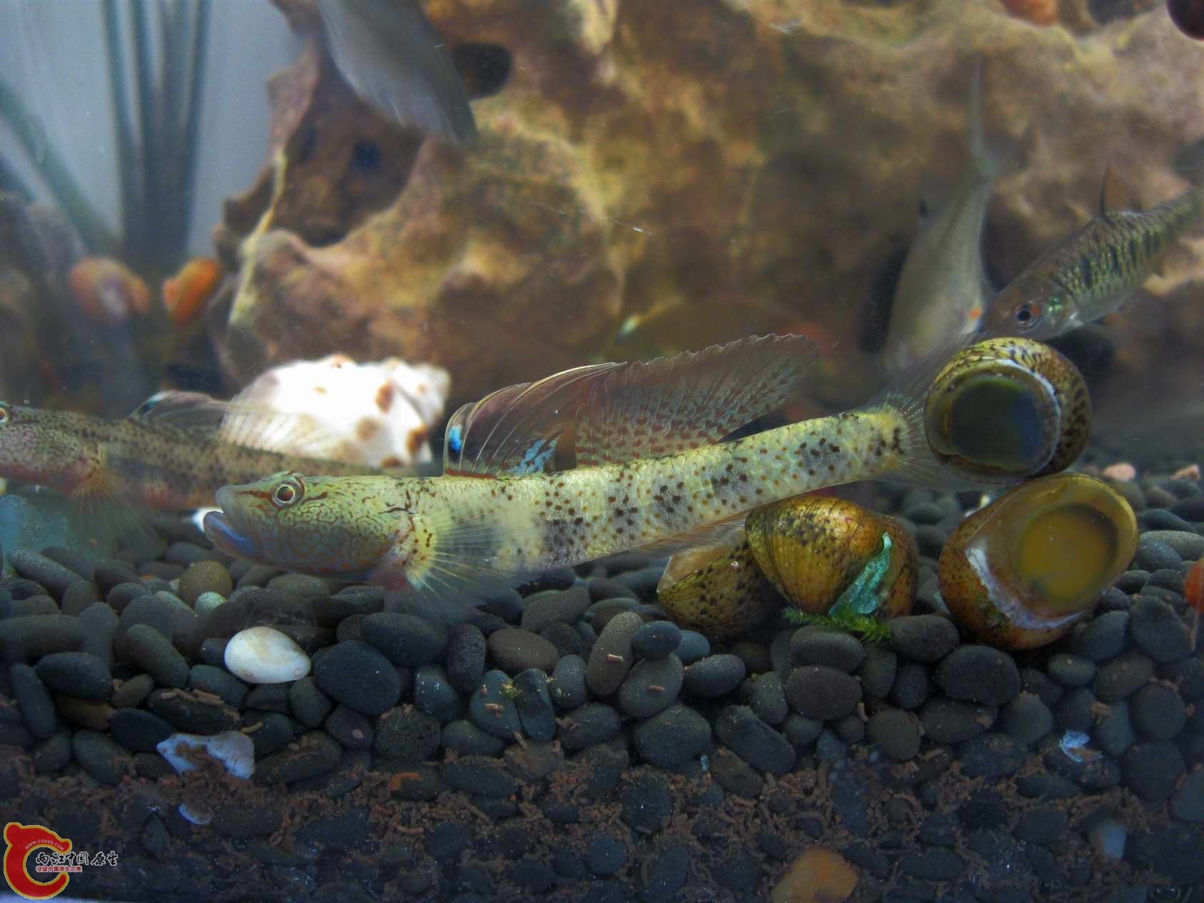 调整大小 照片 439.jpg