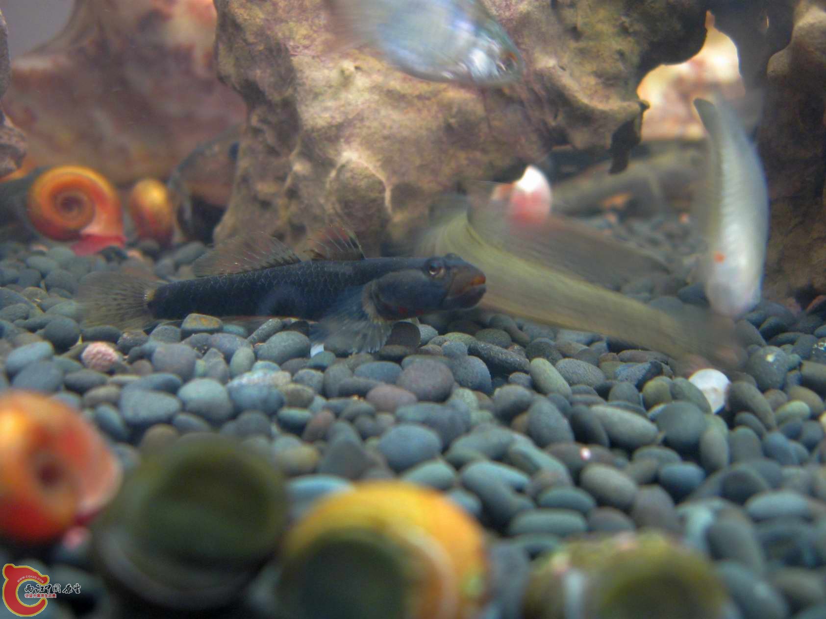 调整大小 照片 456.jpg