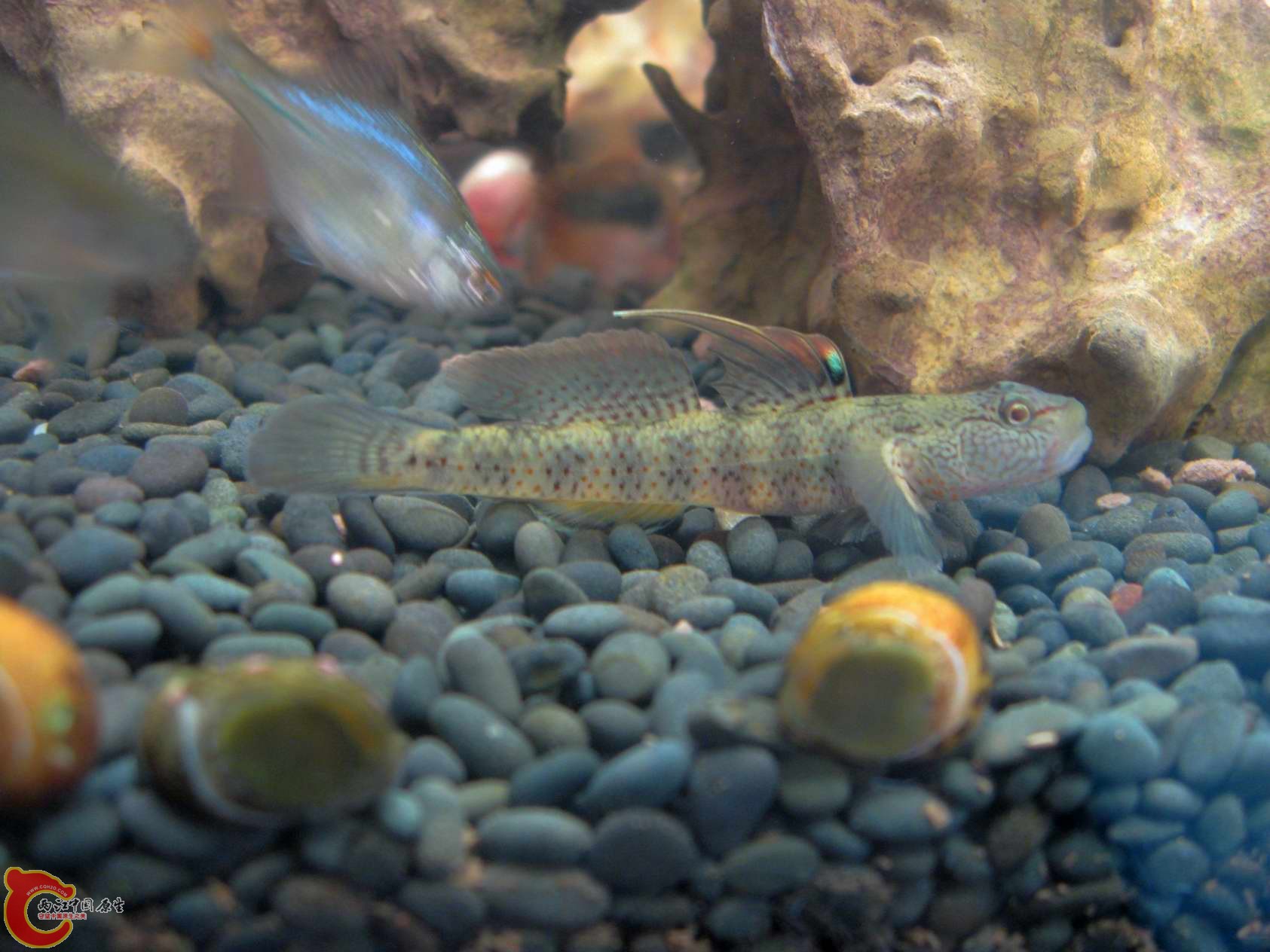 调整大小 照片 453.jpg