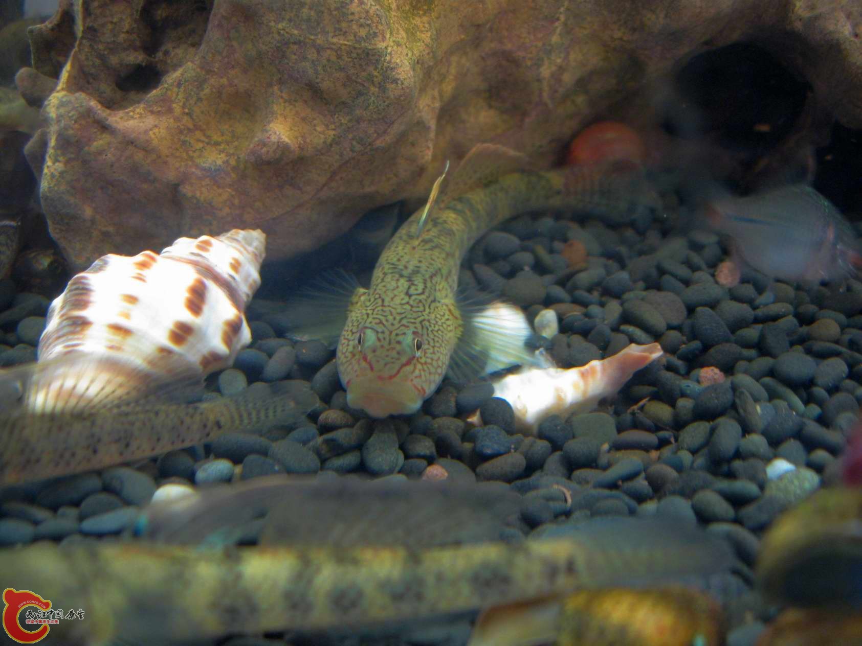 调整大小 照片 451.jpg