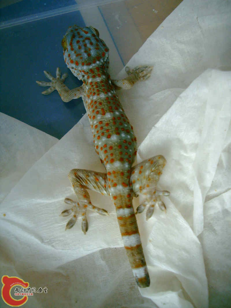 PHTO0096.JPG