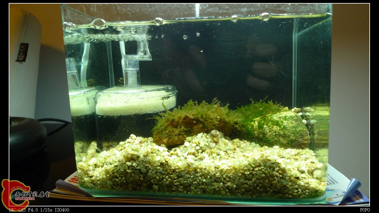 20100301.jpg