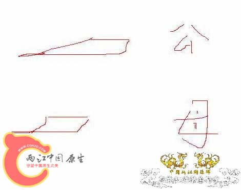 臀鳍2.jpg
