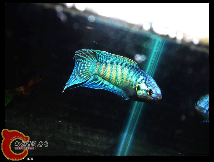 nEO_IMG_CIMG0707.jpg