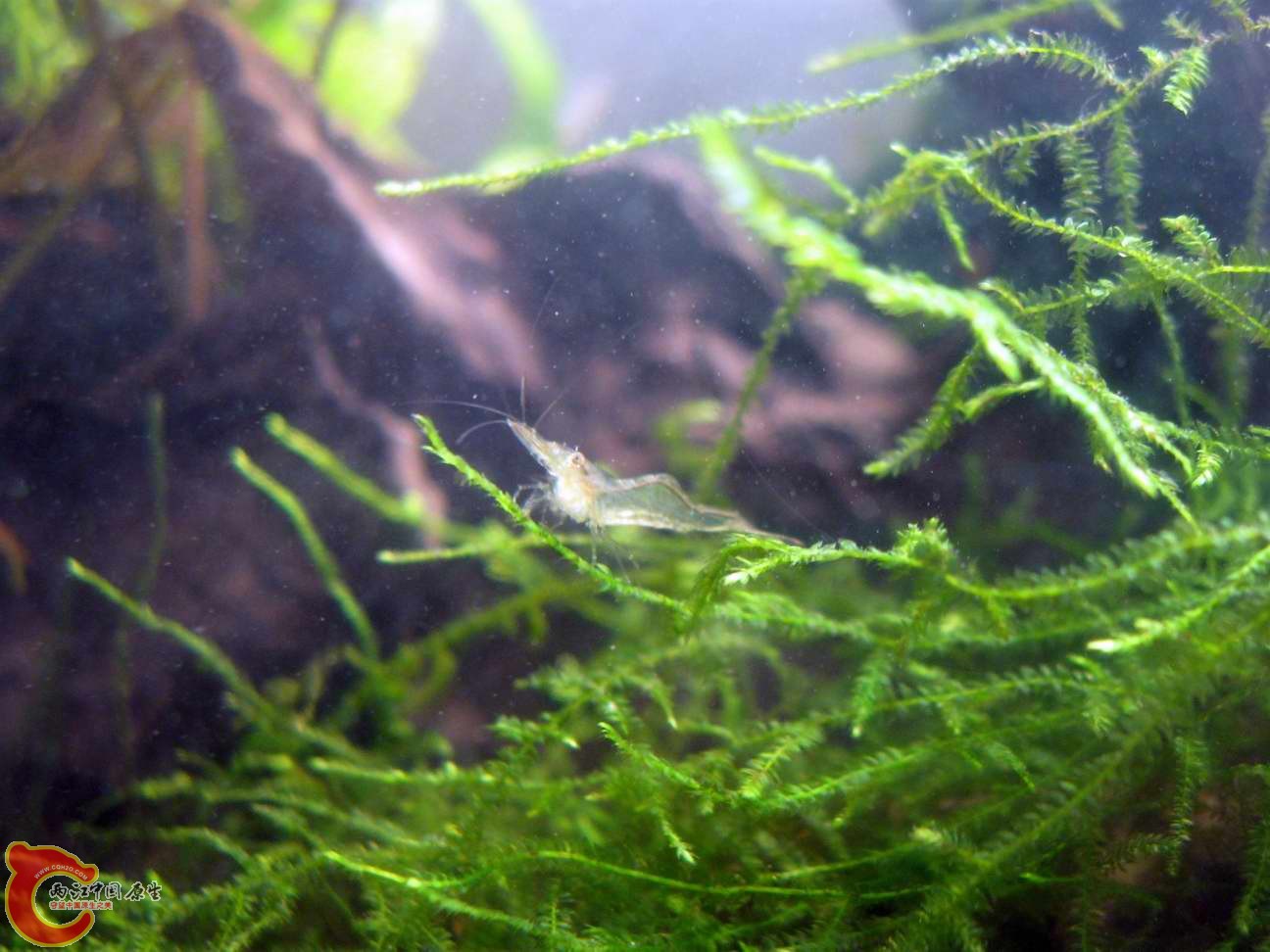 调整大小 照片 018.jpg