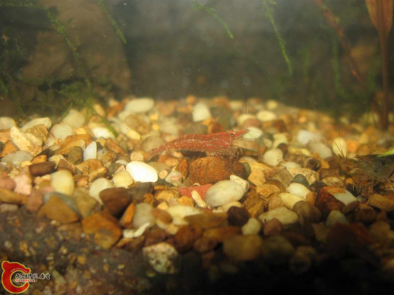 调整大小 照片 009.jpg