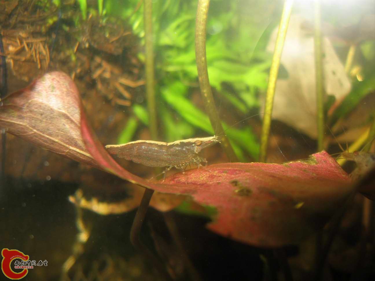 调整大小 照片 022.jpg