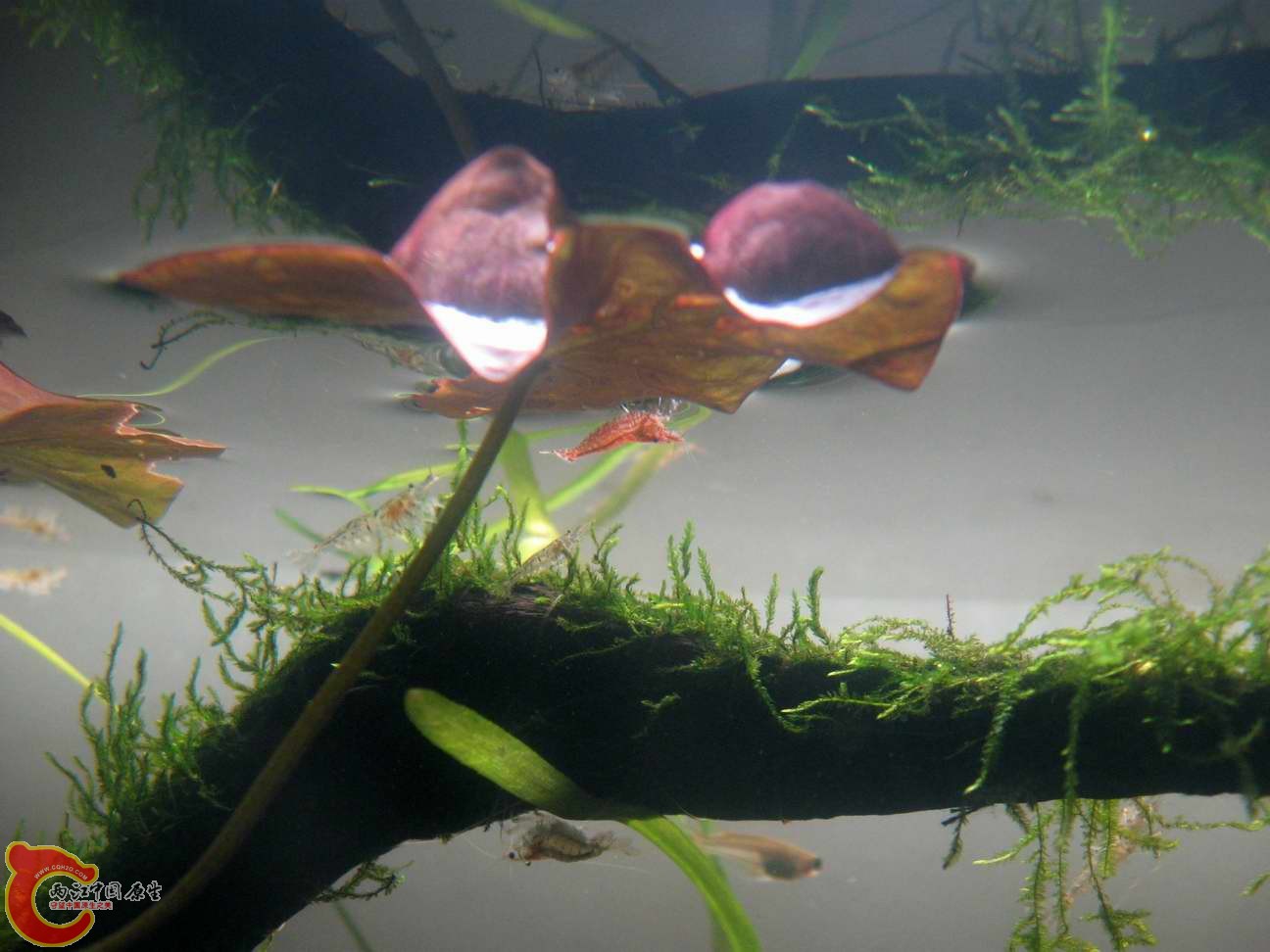 调整大小 照片 039.jpg