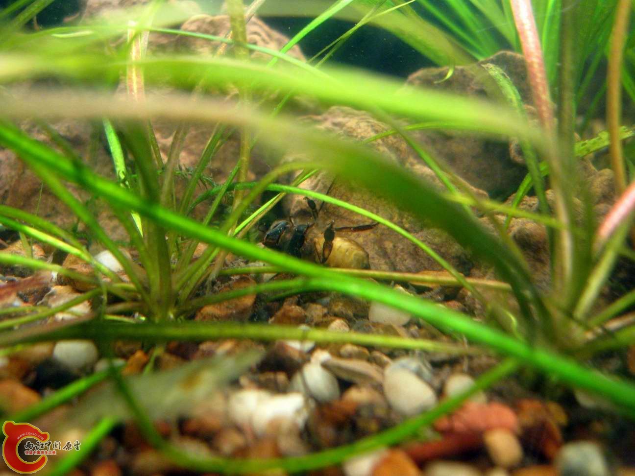 调整大小 照片 055.jpg