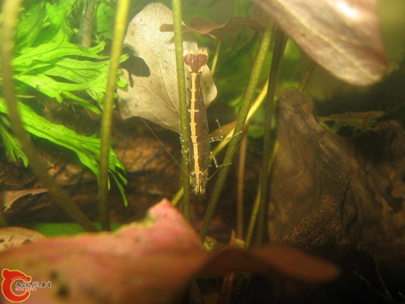 调整大小 照片 087.jpg