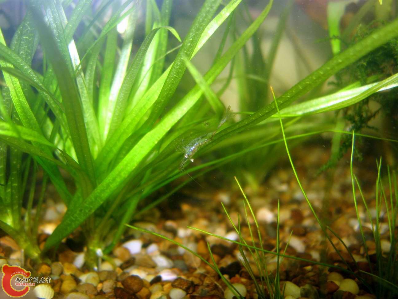 调整大小 照片 099.jpg