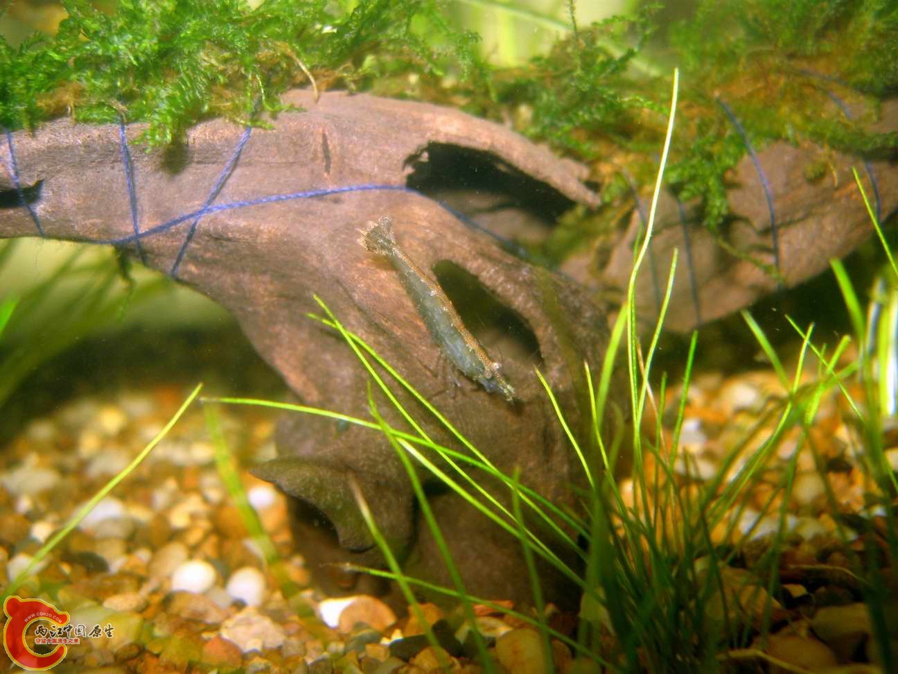 调整大小 照片 097.jpg