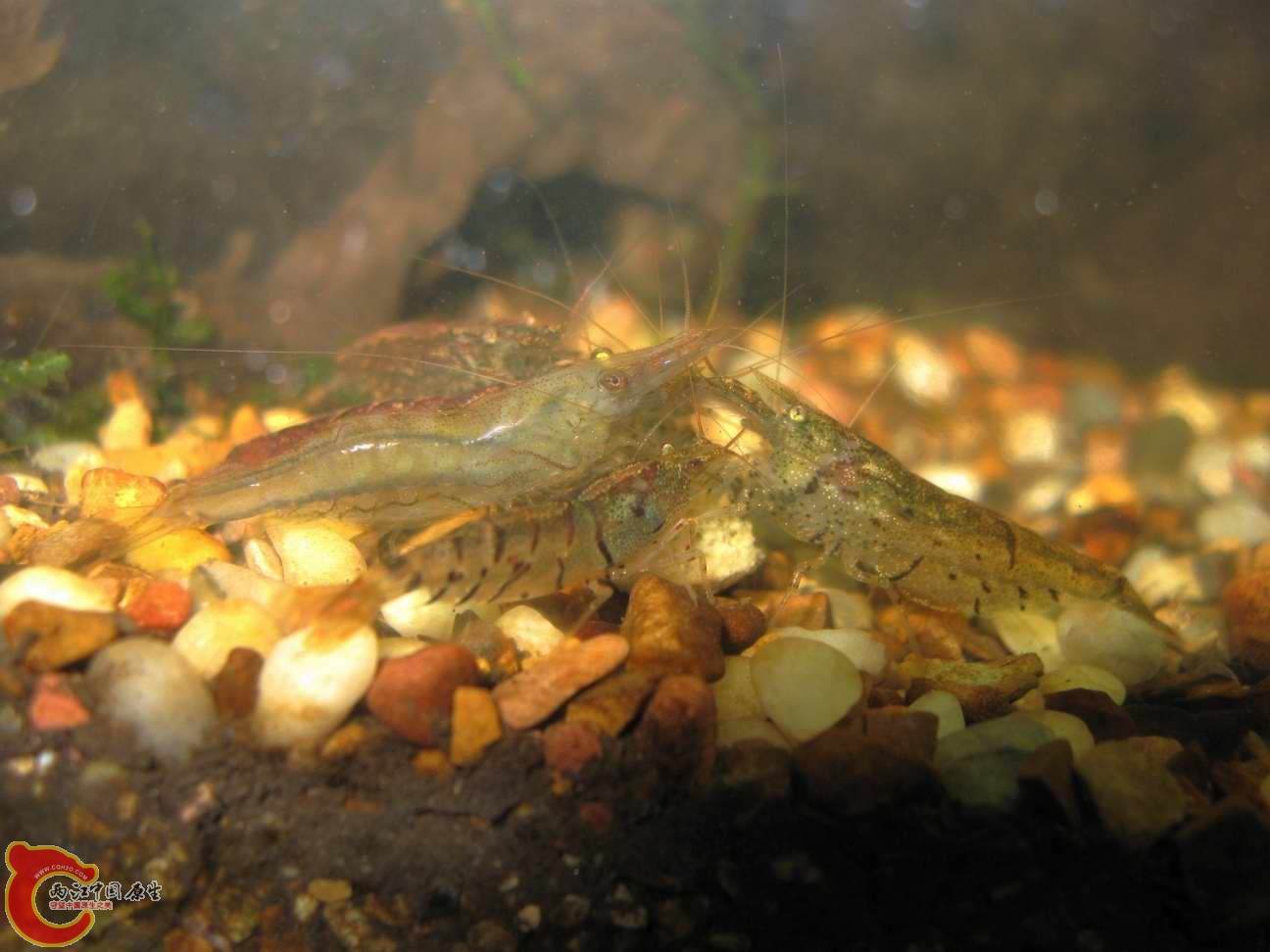 调整大小 照片 358.jpg