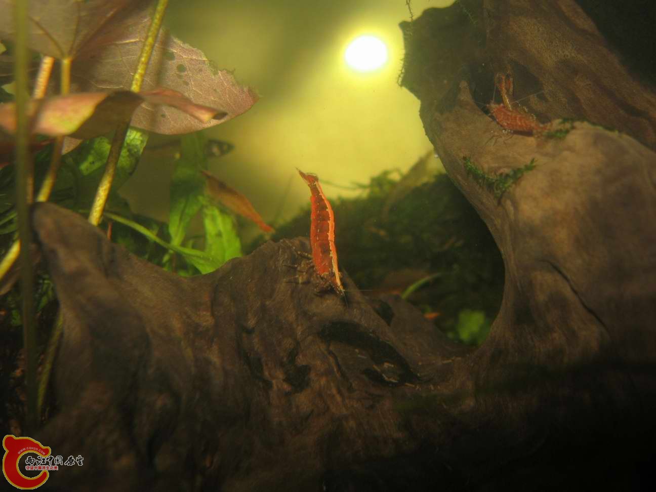 调整大小 照片 562.jpg