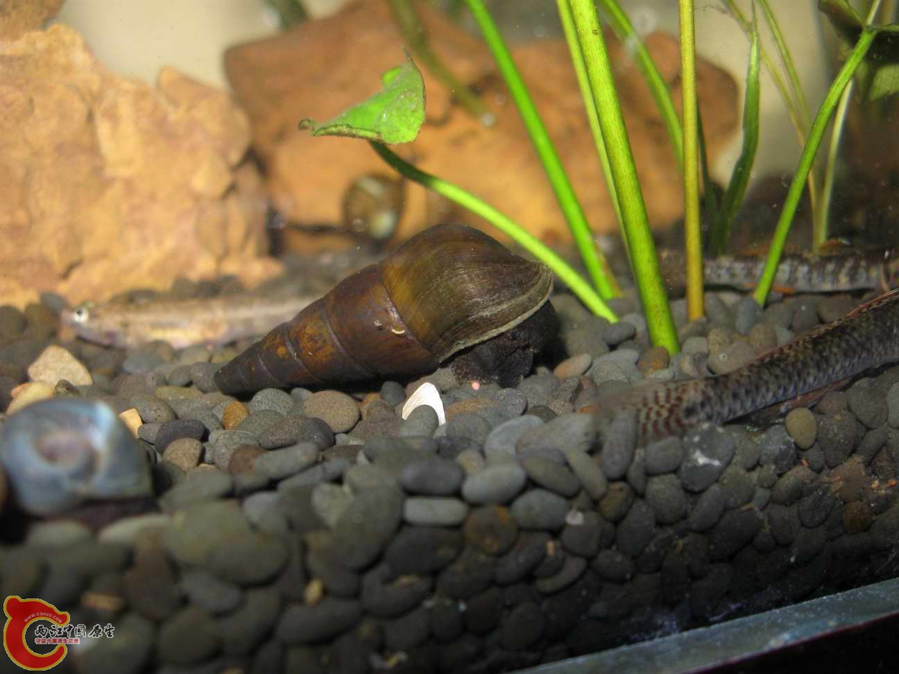 调整大小 照片 576.jpg