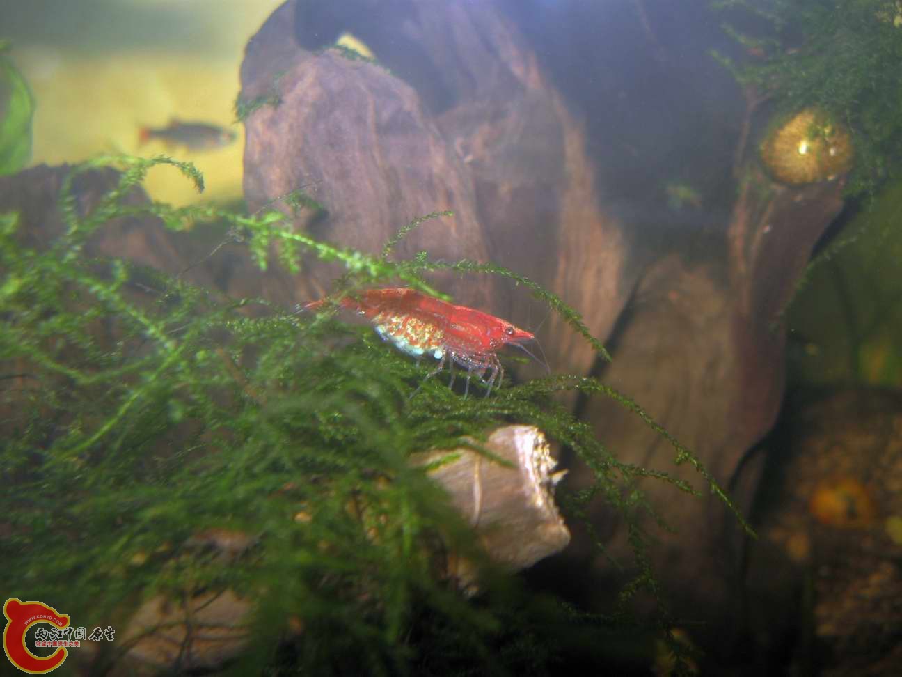 调整大小 照片 354.jpg