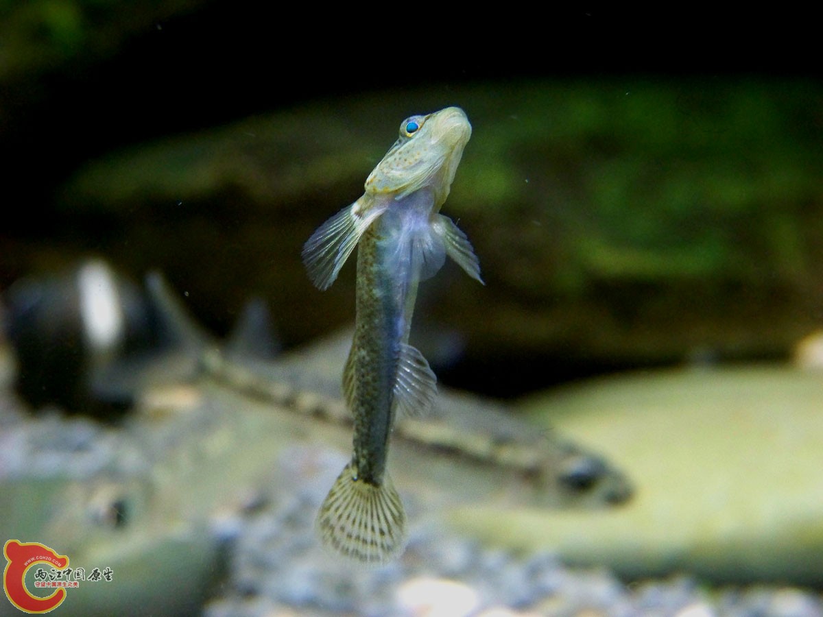 100_9469.JPG