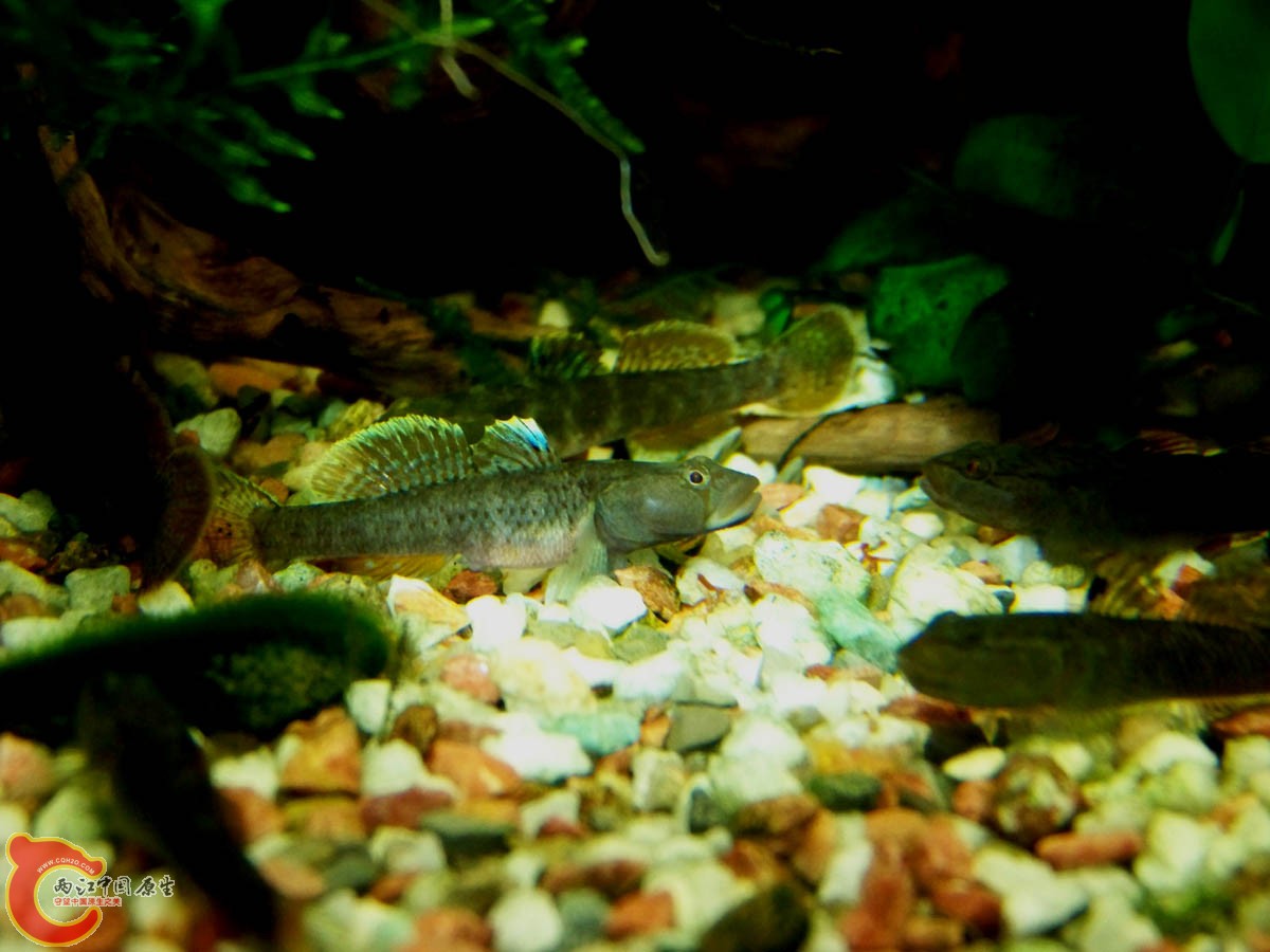 100_9167.JPG