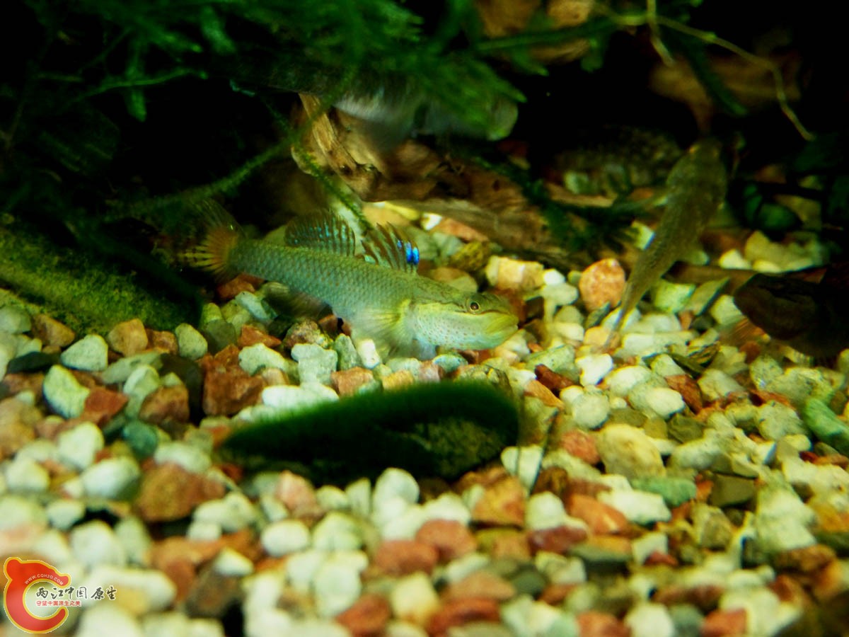 100_9163.JPG