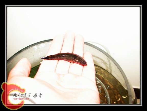 小的