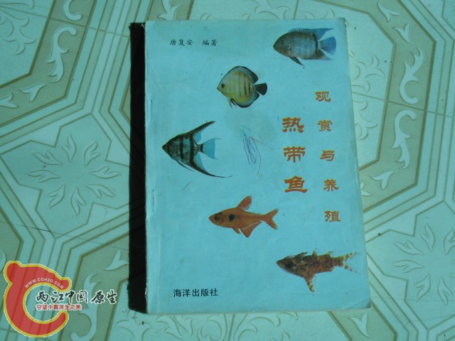 很早的书