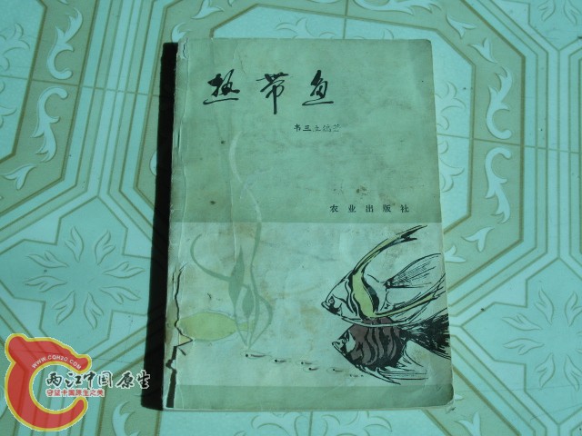 很早的书