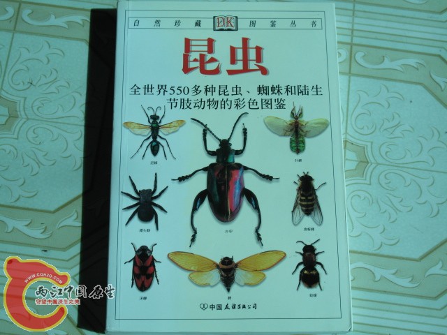 科普读物