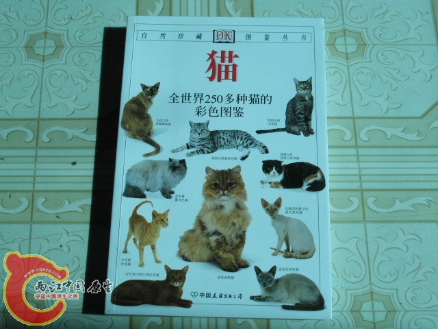 科普读物