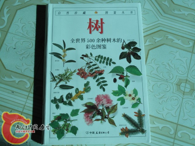 科普读物