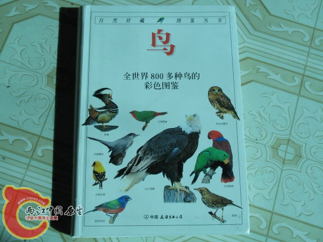 科普读物