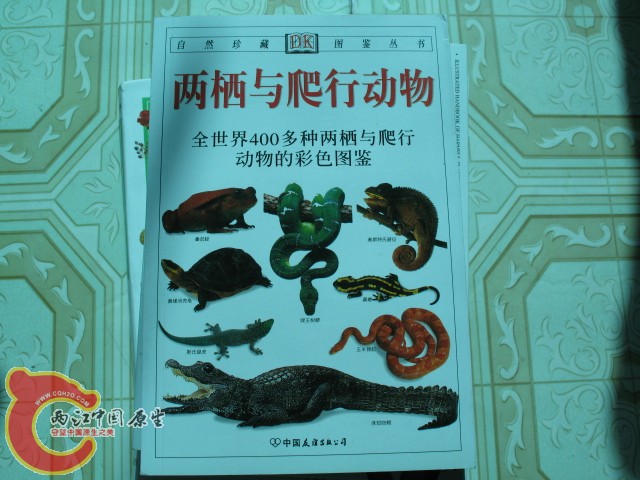 科普读物